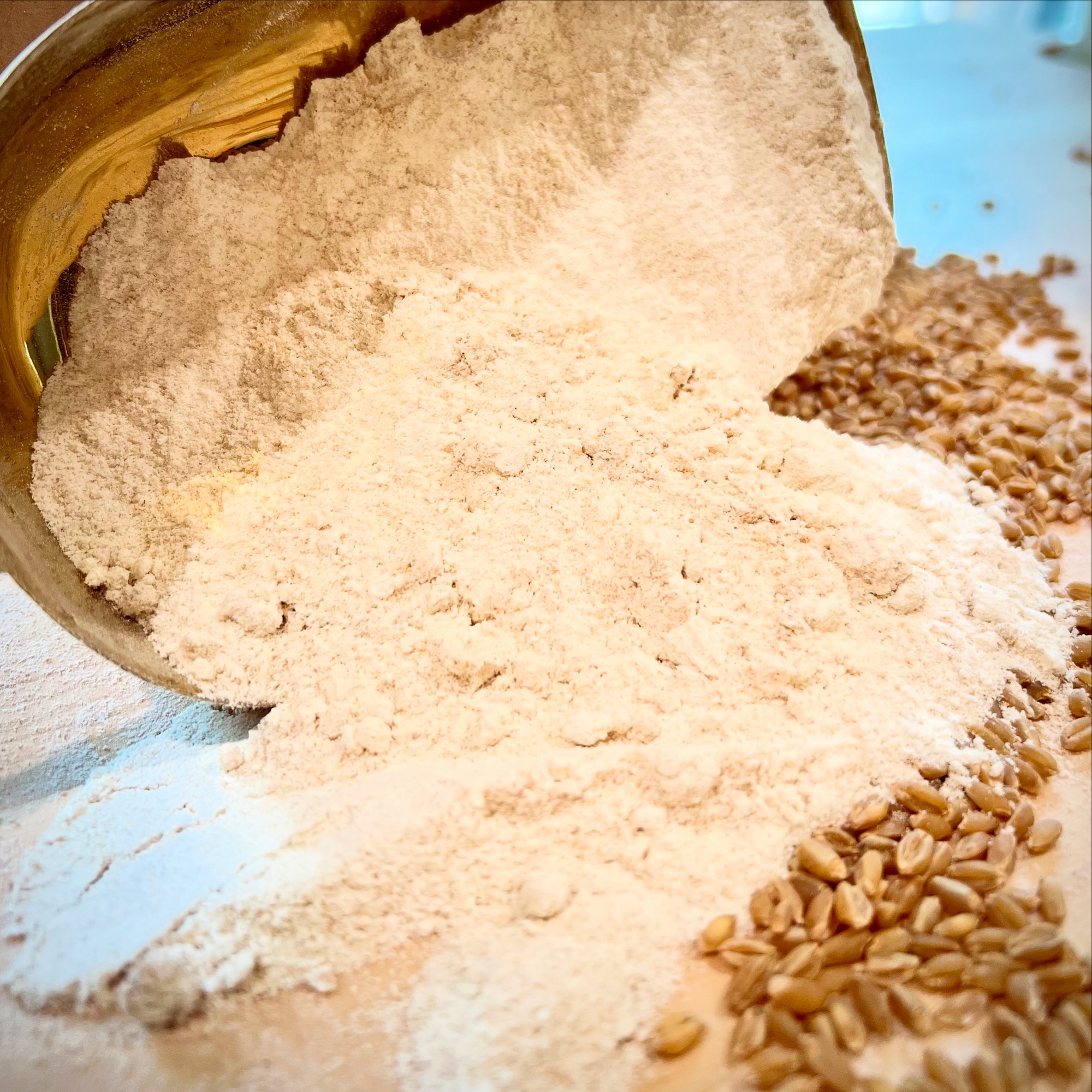 Why You Can’t Sift Whole Wheat Flour to Make White Flour