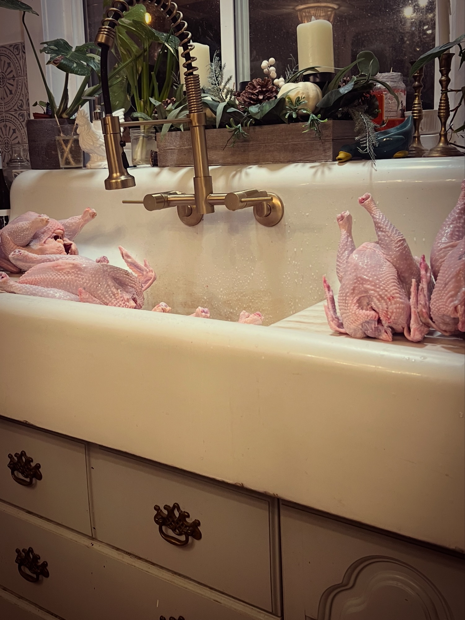 Processing Chickens at Home: Using Every Part