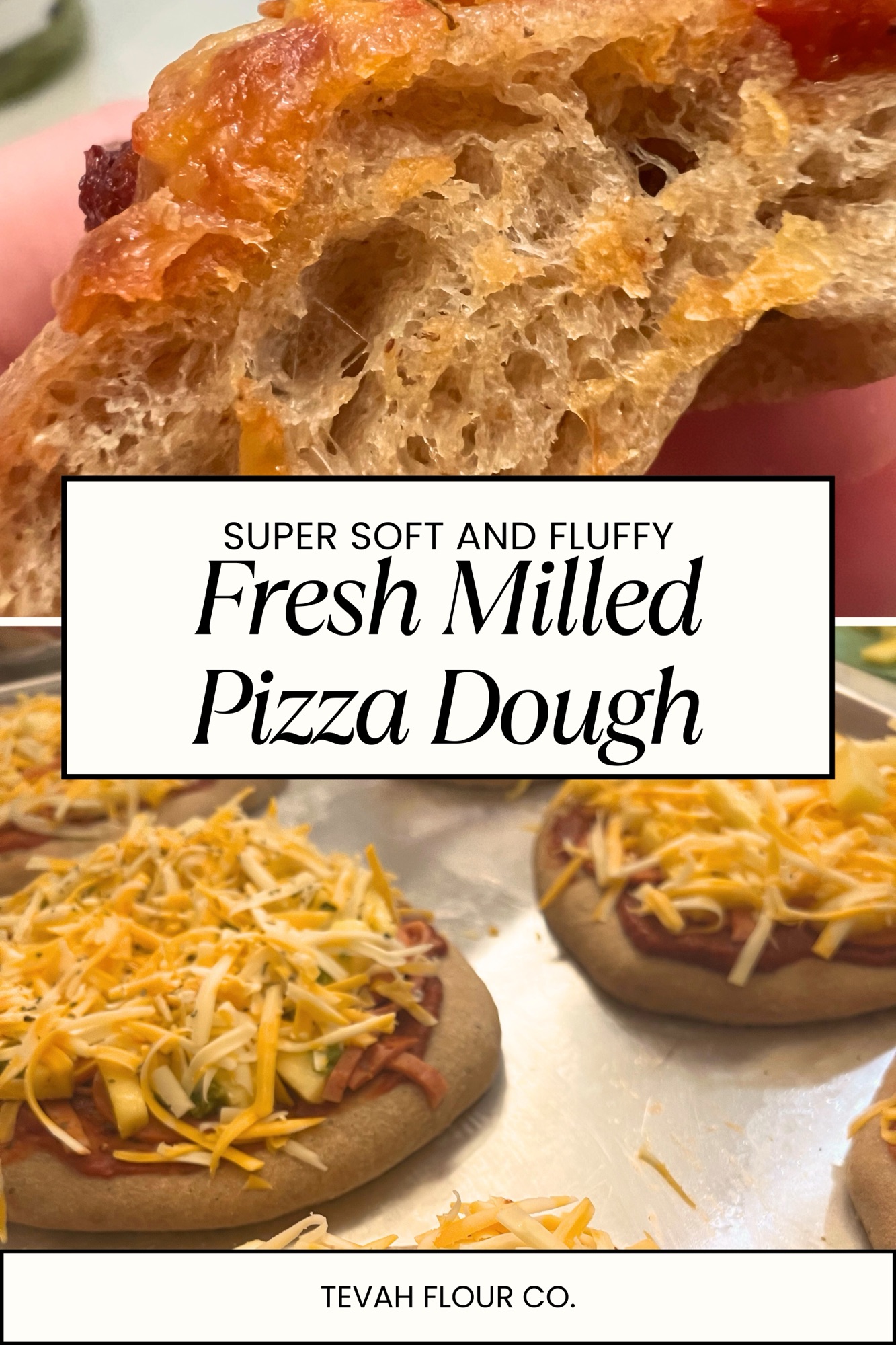 Tevah Classic Rustic Fresh Milled Pizza Dough