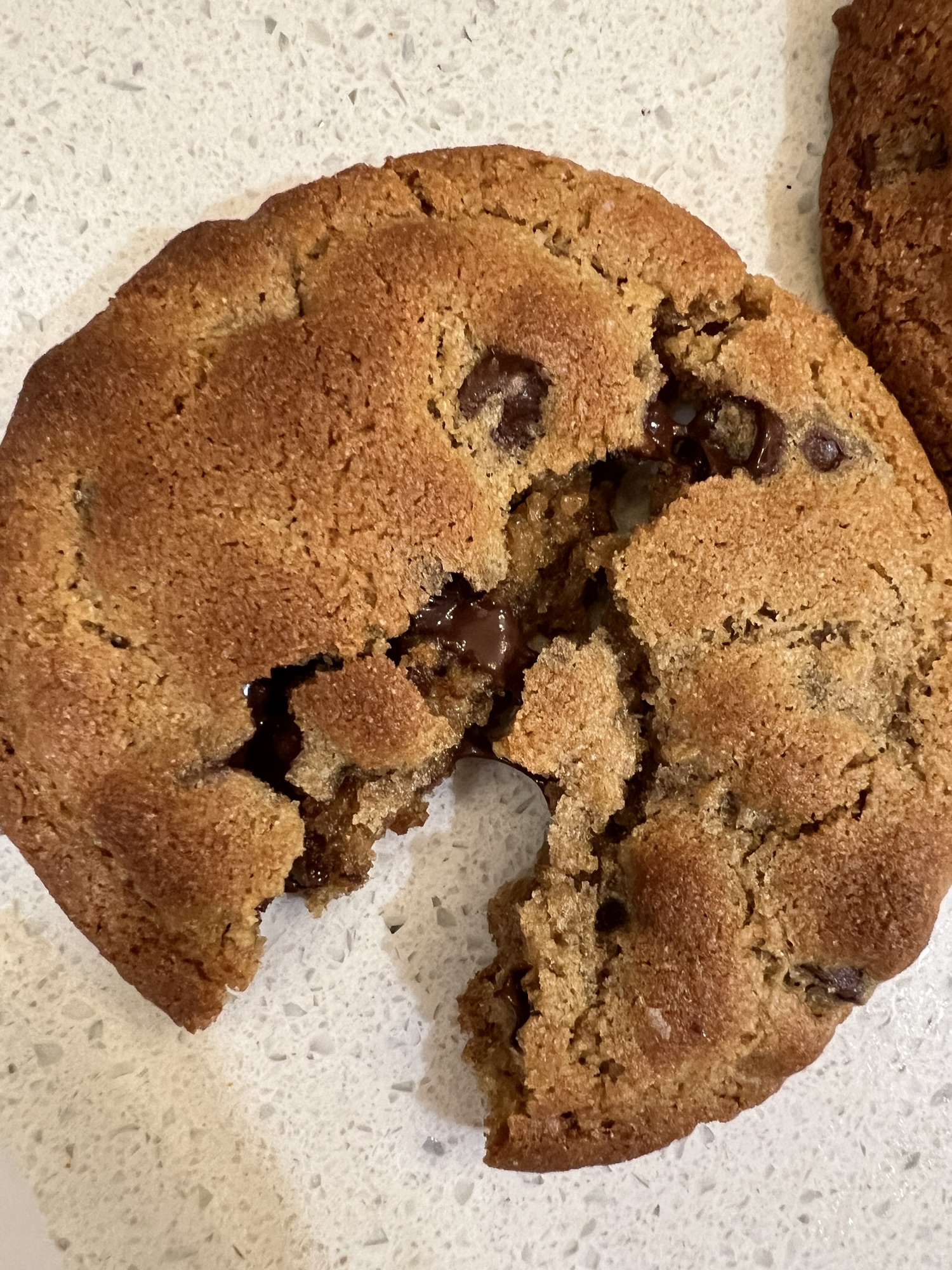 The Chocolate Chip Cookie That Actually Works with Fresh-Milled Flour